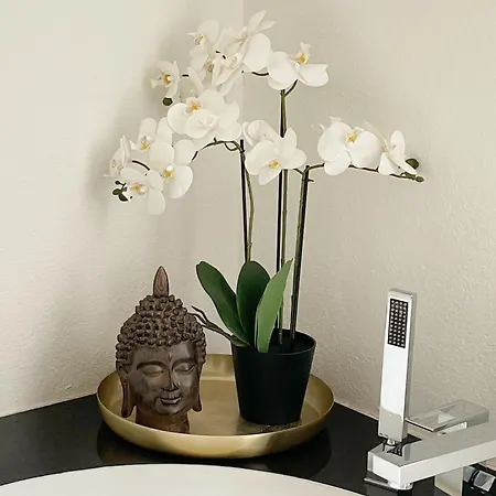 アパート Wohlfuehloase In Der *