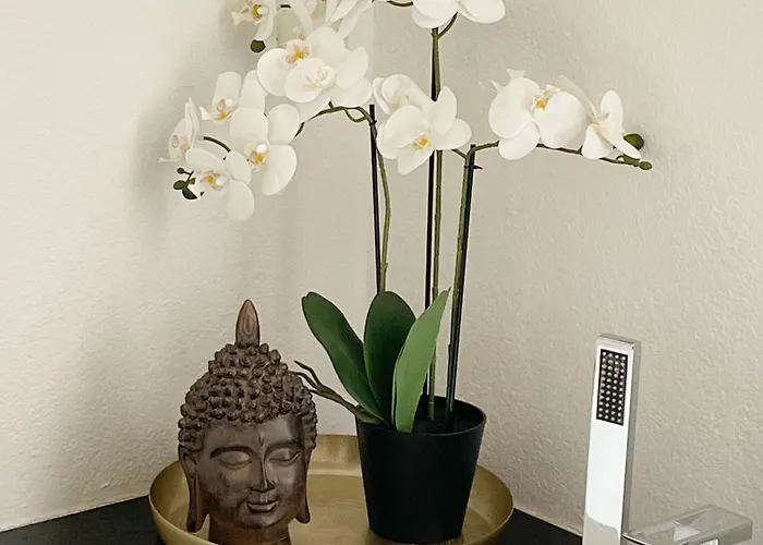 Apartamento Wohlfühloase In Der *